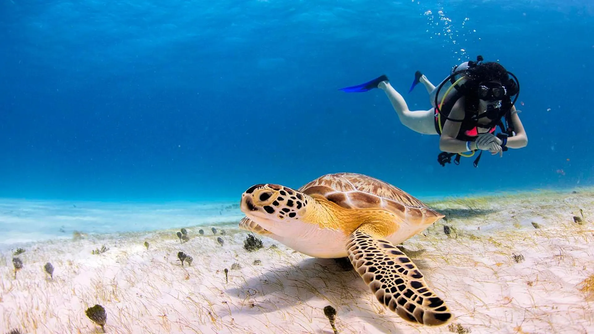 Secrets Moxché Playa del Carmen - Adults Only - All Inclusive 5*,